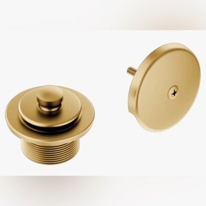 MOEN T90331BG Push N Lock Trim Kit Brushed Gold NEW